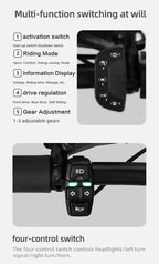 Performance Electric Scooter