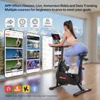 Self-Powered Magnetic Indoor Exercise Bike