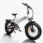 Lacros Pinecone 500W 48V12.8Ah 20” E-Bike