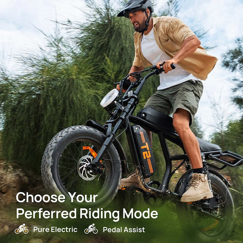 500W 48V15.6Ah 20x4” Fat Tire E-Bike