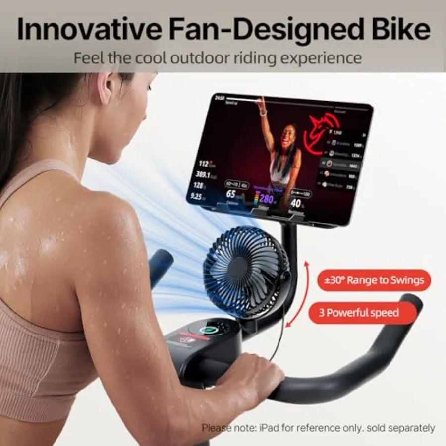 Self-Powered Magnetic Indoor Exercise Bike