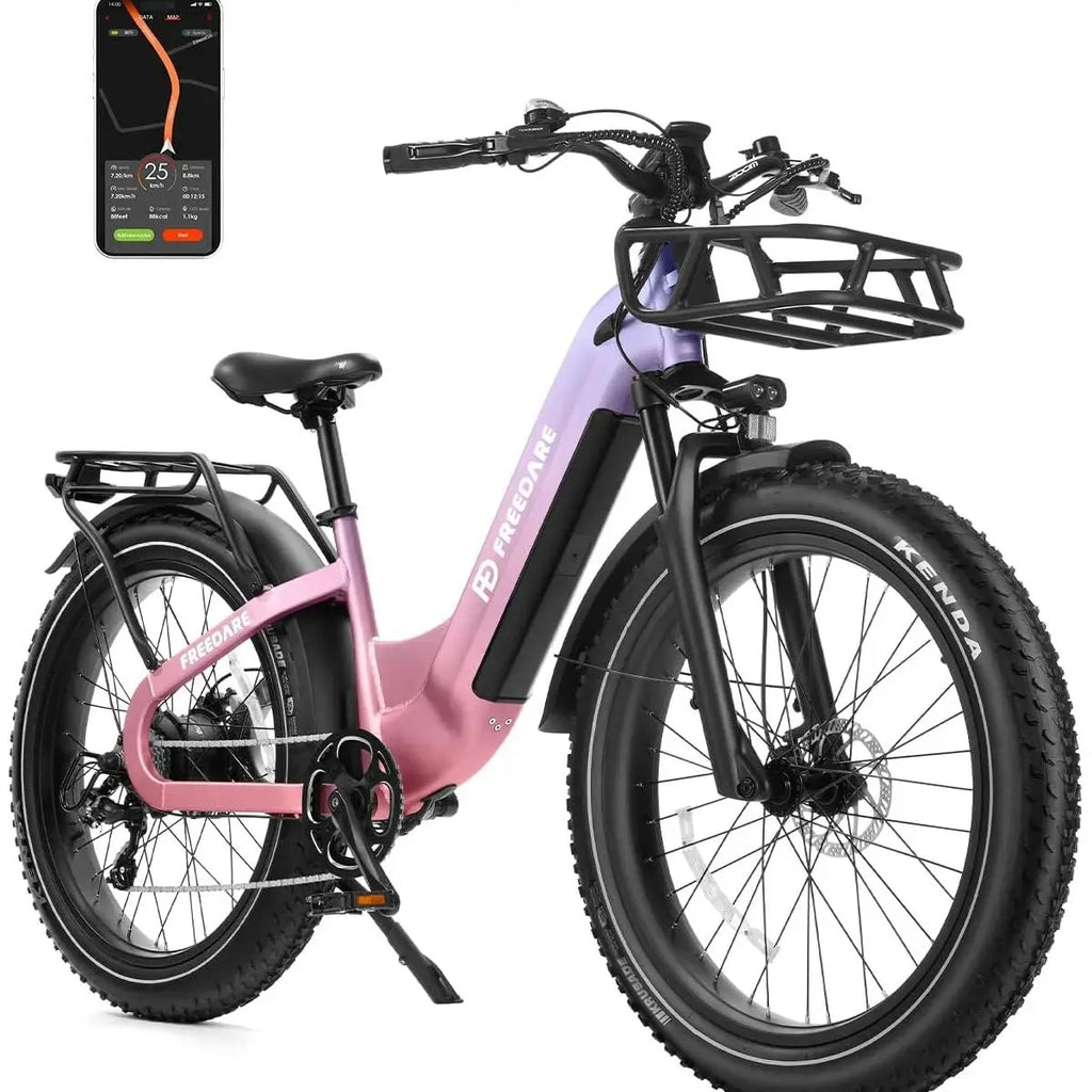 1000W 48V20Ah 90-Mile Fat Tire E-Bike