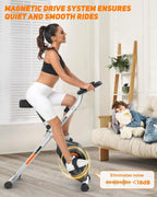 Classic Folding Stationary Bike