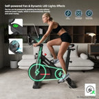 Self-Powered Magnetic Indoor Exercise Bike